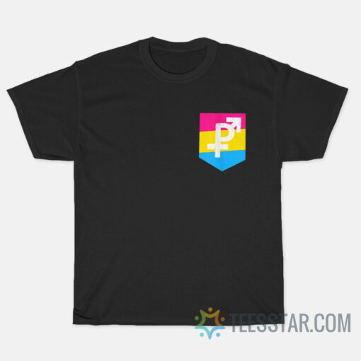 Pansexual Visibility Flag T-Shirt