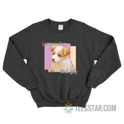 The Dog I Am Useless And Gay Meme Sweatshirt