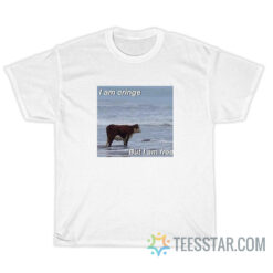Funny I Am Cringe But I Am Free Meme T-Shirt