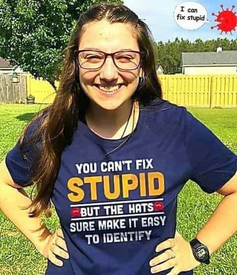 You Can't Fix Stupid But The Hats Sure Make It Easy To Identify T-Shirt