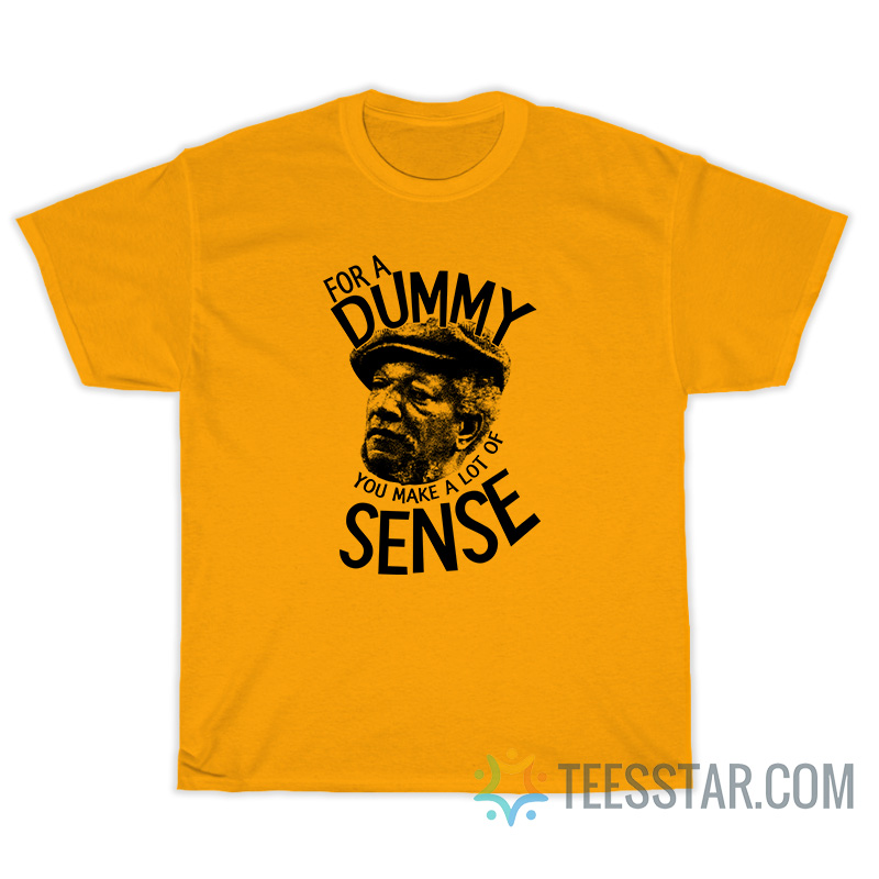 For A Dummy You Make A Lot Of Sense T-Shirt