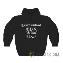 Before You Liked EDM You Liked Emo Coachella Hoodie
