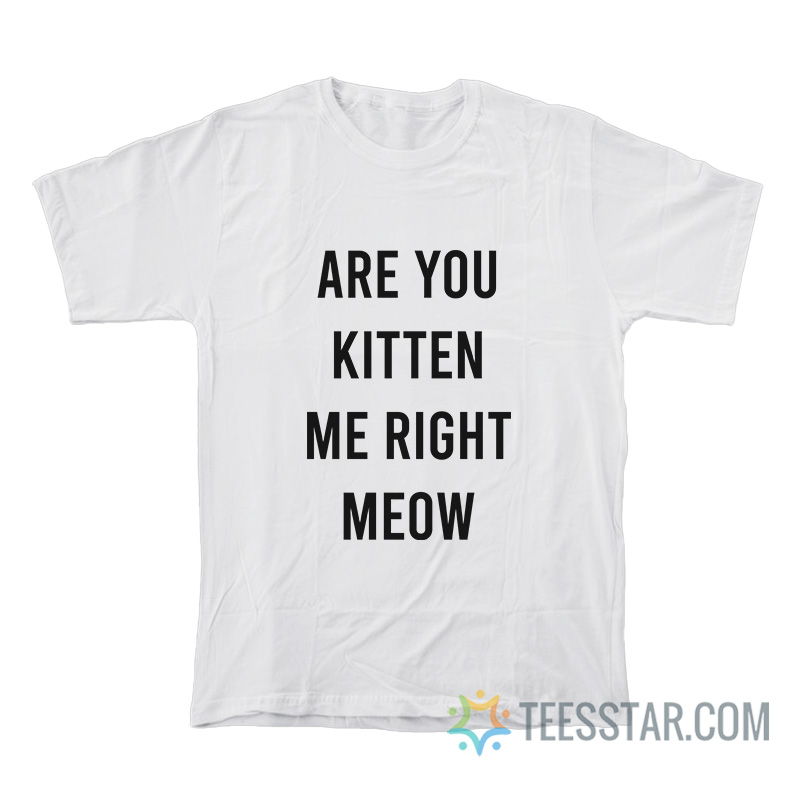 Are You Kitten Me Right Meow T-Shirt