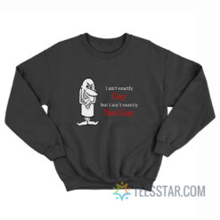 I Ain't Exactly Gay But I Ain't Exactly Not Gay Sweatshirt