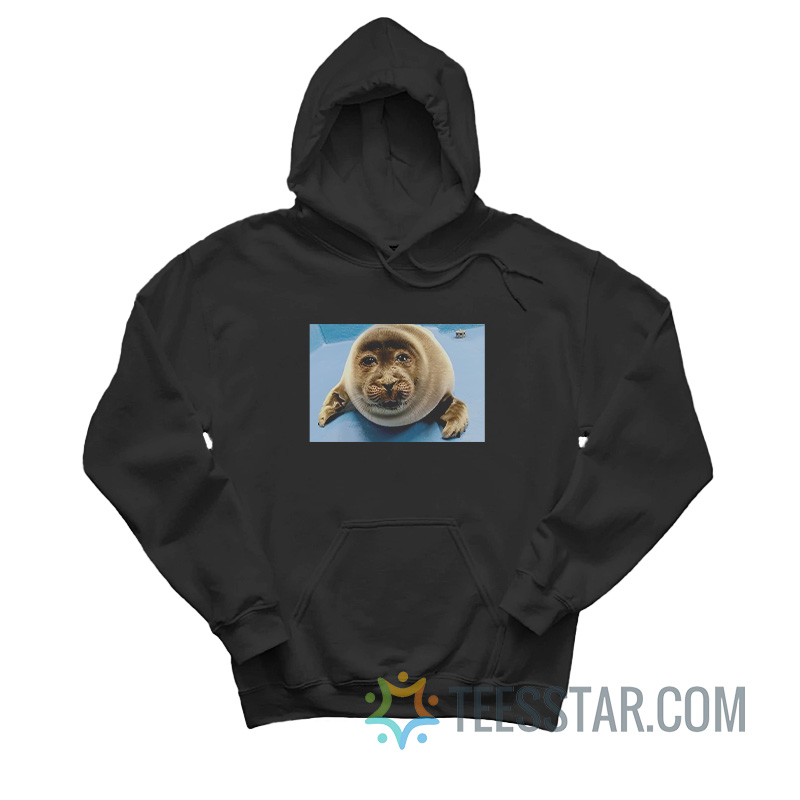 Toba Aquarium Baby Seal Hoodie