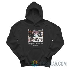 I Love Cats So Much They're So Awesome Sauce Hoodie