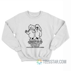 Ambient Or Die Percussion Is A Fuck Chill Em All 1989 I Am Brian Eno Note Chord Sweatshirt