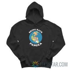 Bring Back Pangea Hoodie