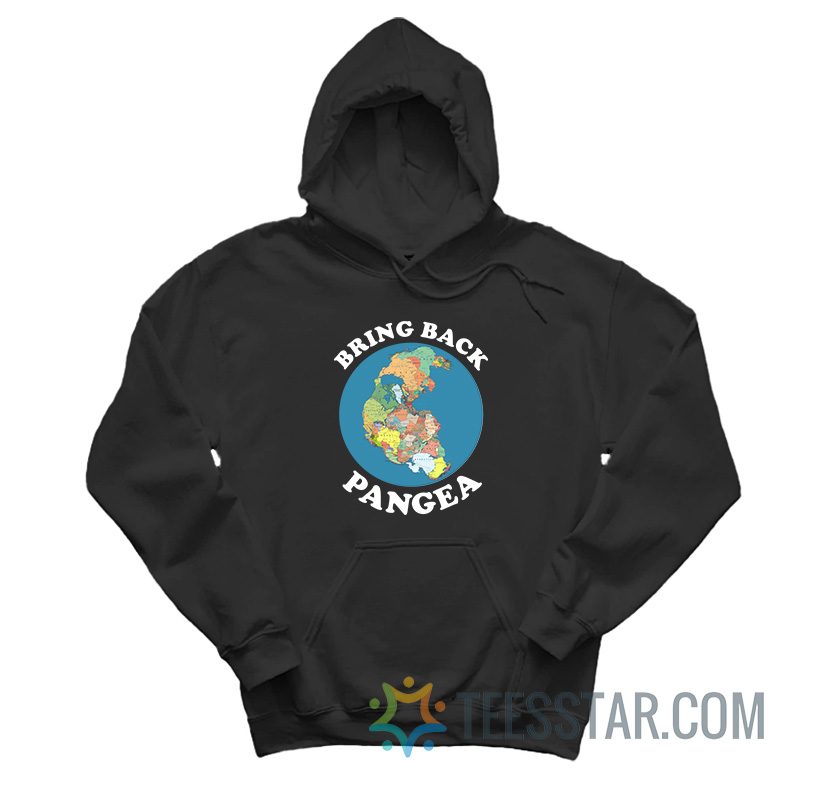 Bring Back Pangea Hoodie