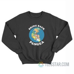 Bring Back Pangea Sweatshirt