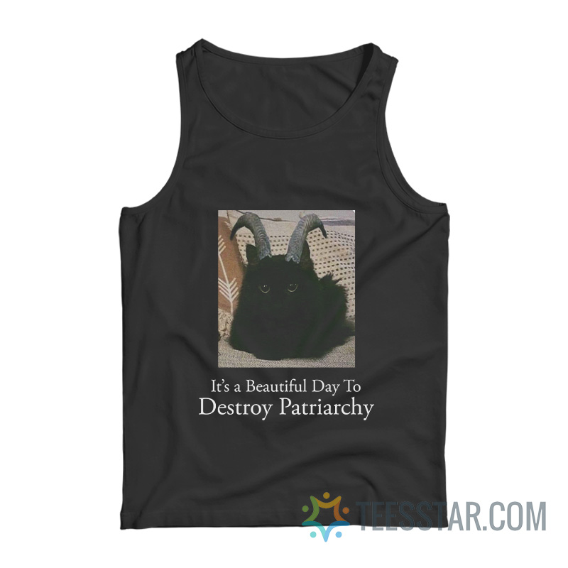It’s A Beautiful Day To Destroy Patriarchy Tank Top