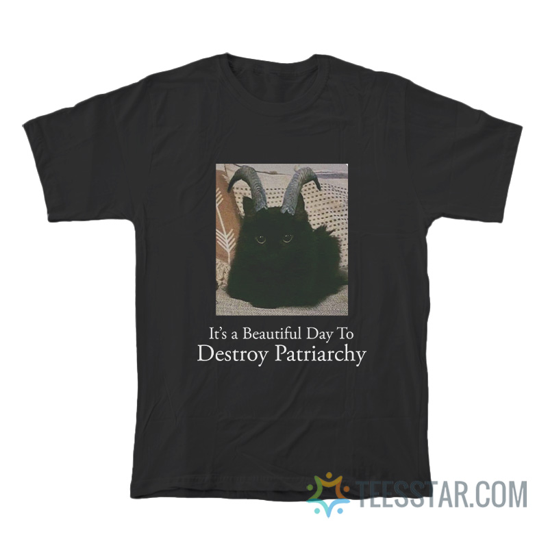 It’s A Beautiful Day To Destroy Patriarchy T-Shirt
