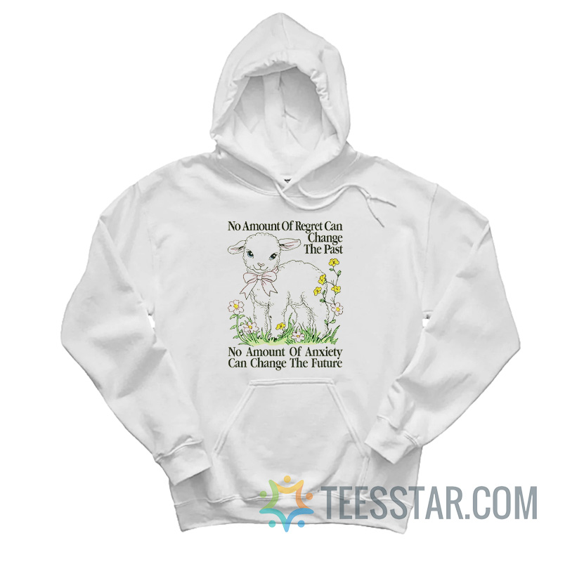 No Amount Of Regret Changes The Past No Amount Of Anxiety Changes The Future Hoodie