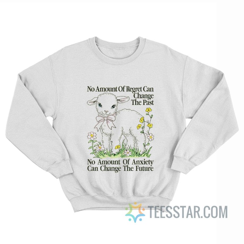 No Amount Of Regret Changes The Past No Amount Of Anxiety Changes The Future Sweatshirt