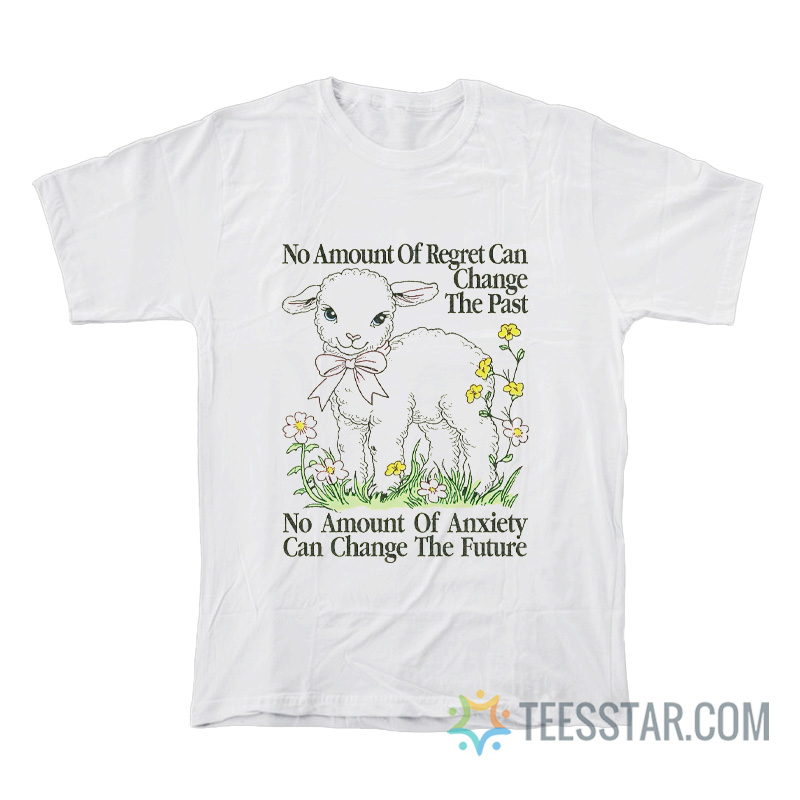 No Amount Of Regret Changes The Past No Amount Of Anxiety Changes The Future T-Shirt