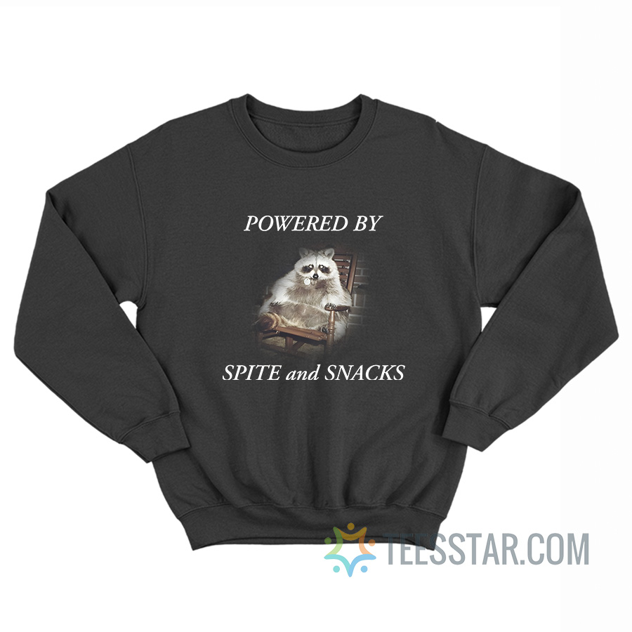 Raccoon Powered By Spite And Snacks Sweatshirt
