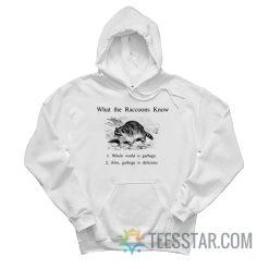 What The Raccoon Know Whole World Is Garbage Hoodie