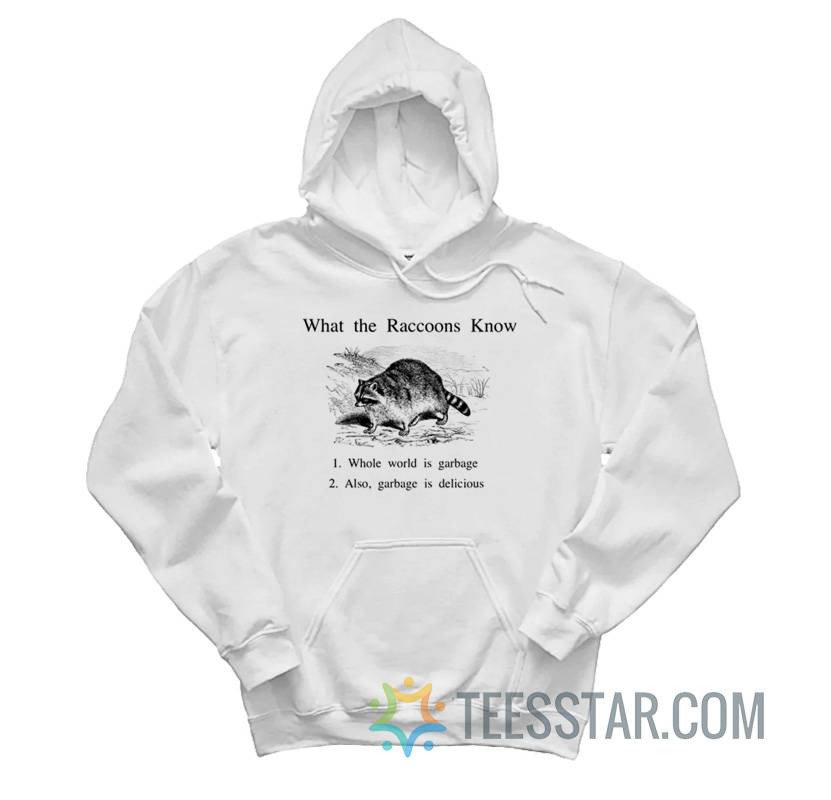 What The Raccoon Know Whole World Is Garbage Hoodie