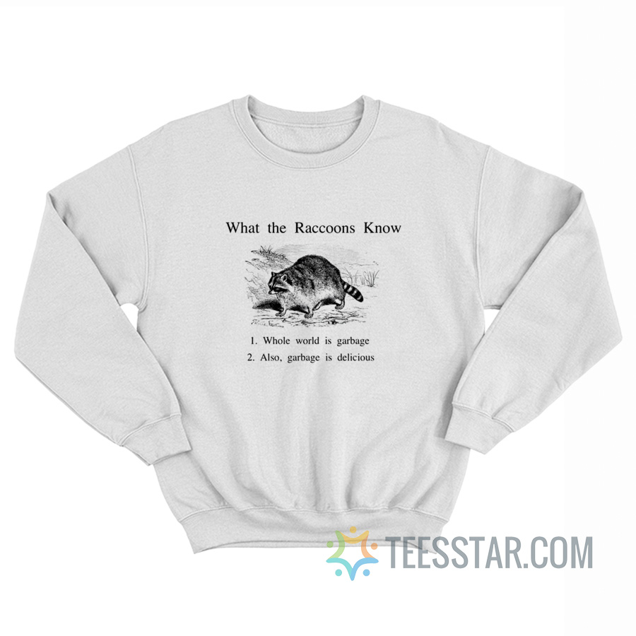 What The Raccoon Know Whole World Is Garbage Sweatshirt