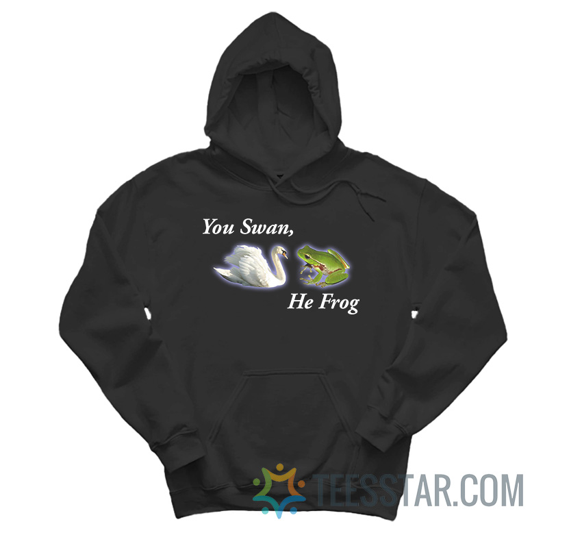 You Swan He Frog Meme Hoodie