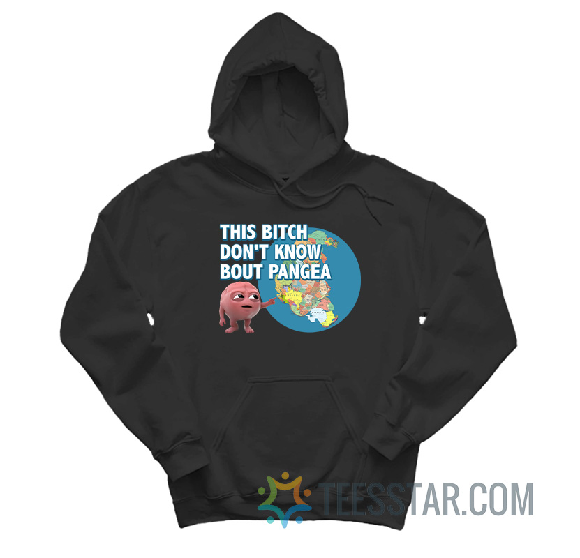 Brain This Bitch Don't Know About Pangea Hoodie
