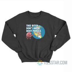 Brain This Bitch Don't Know About Pangea Sweatshirt