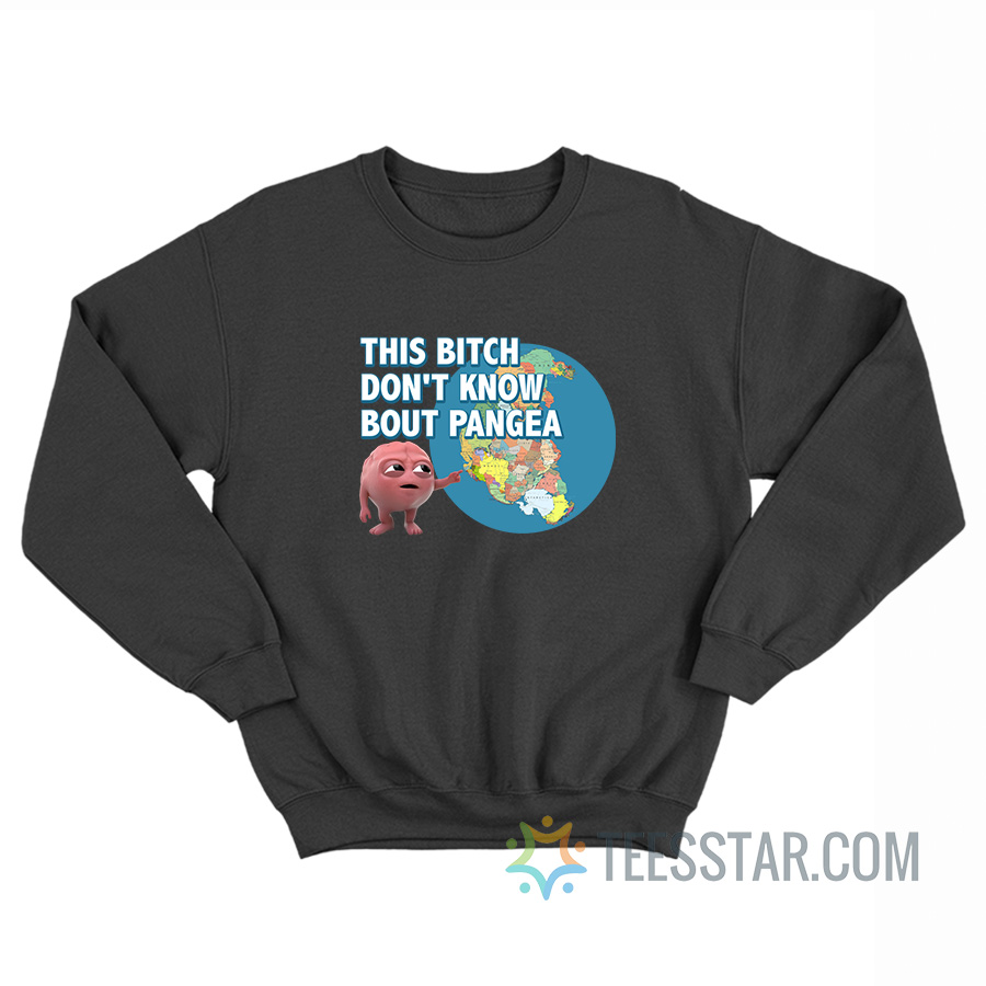 Brain This Bitch Don't Know About Pangea Sweatshirt